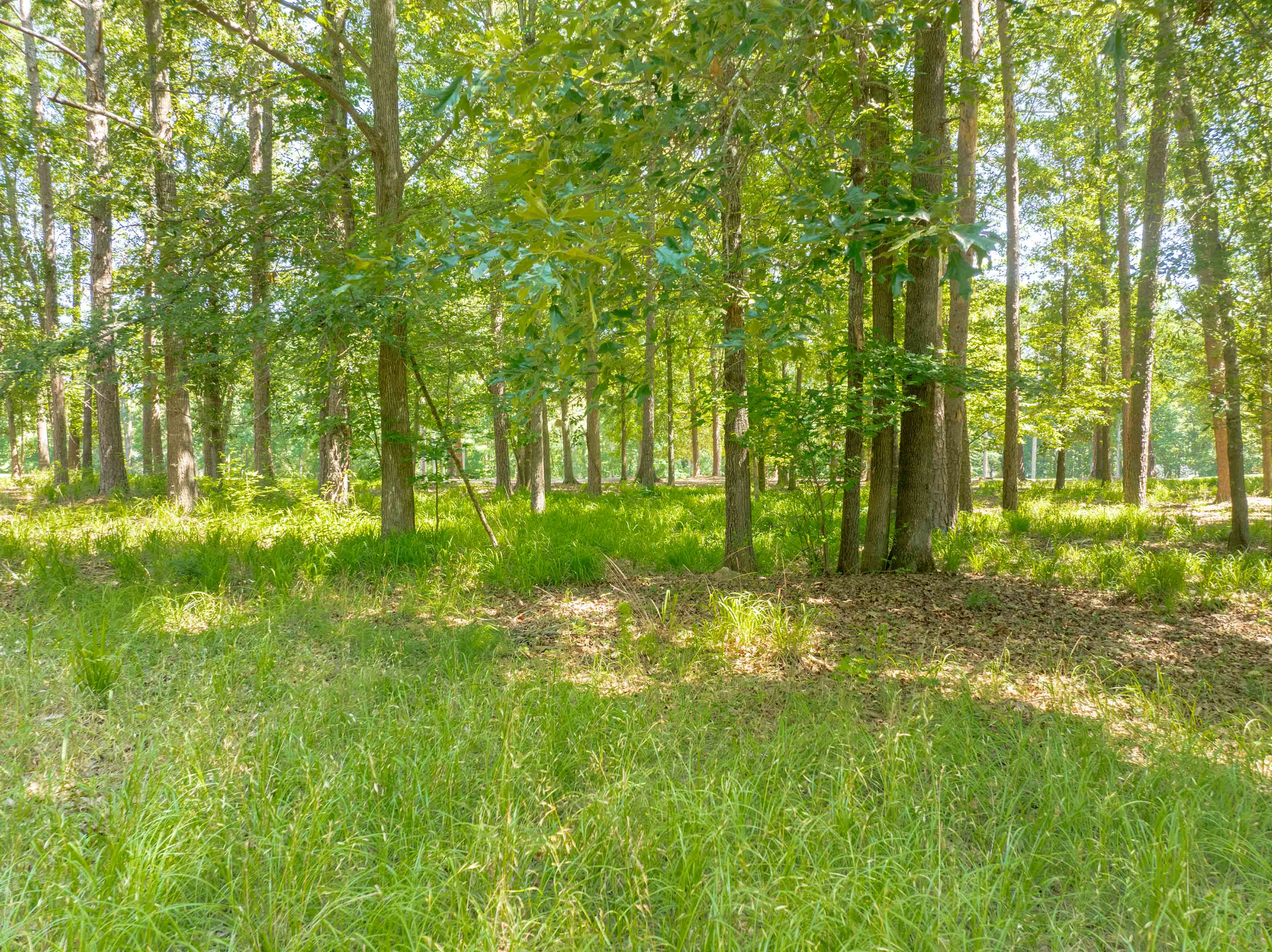 381 Reynolds Drive image 8